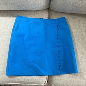 LOFT Mini Skirt